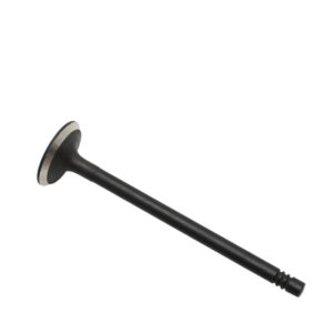 Engine Valve